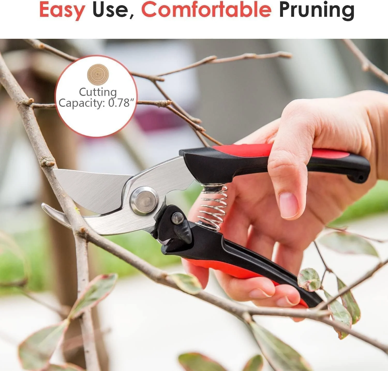 بیل دهان مربعی ترامونتینا