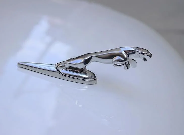 آرم سه بعدی خودرو مناسب جگوار، لوگوی جلوی خودرو، تزئین کاپوت، روکش کرومی طرح عقاب، لوازم جانبی خودرو برای جگوار XF XJ XE XK XKR XFL XJS E آرم سه بعدی خودرو مناسب جگوار، لوگوی جلوی خودرو، تزئین کاپوت، روکش کرومی طرح عقاب، لوازم جانبی خودرو برای جگوار XF XJ XE XK XKR XFL XJS E