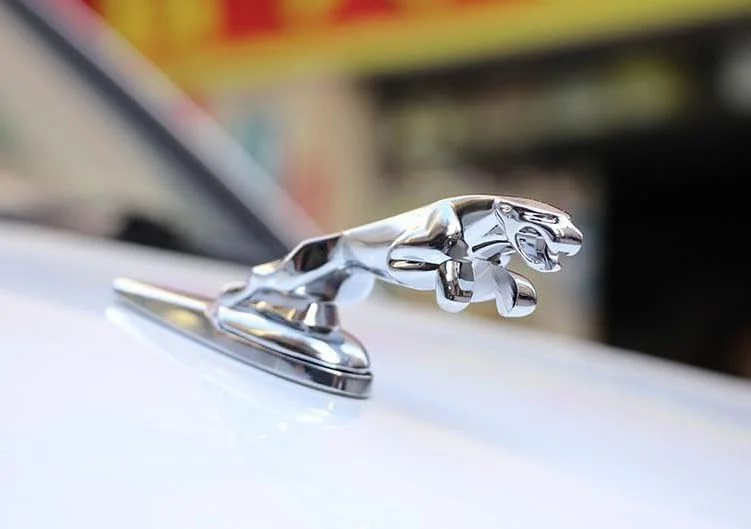 آرم سه بعدی خودرو مناسب جگوار، لوگوی جلوی خودرو، تزئین کاپوت، روکش کرومی طرح عقاب، لوازم جانبی خودرو برای جگوار XF XJ XE XK XKR XFL XJS E آرم سه بعدی خودرو مناسب جگوار، لوگوی جلوی خودرو، تزئین کاپوت، روکش کرومی طرح عقاب، لوازم جانبی خودرو برای جگوار XF XJ XE XK XKR XFL XJS E