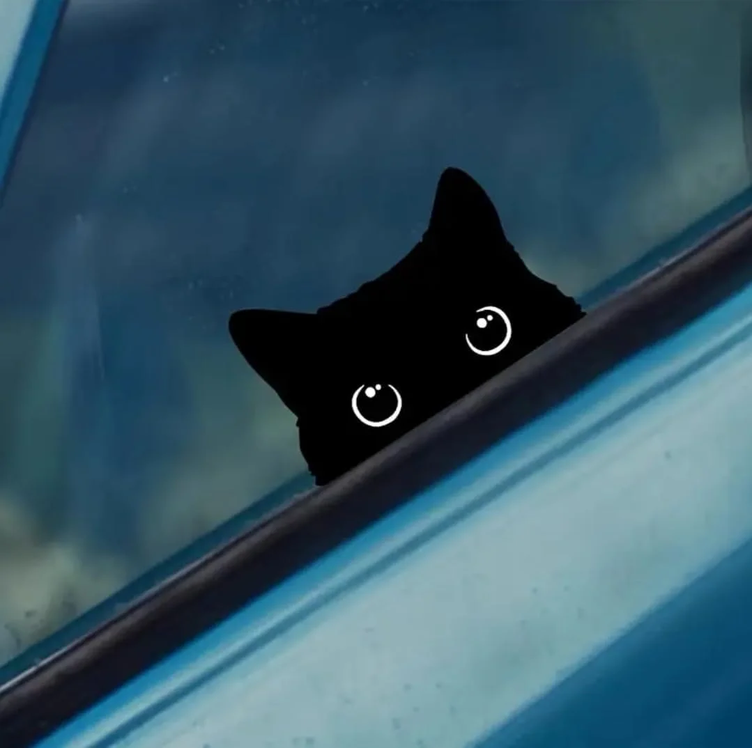 برچسب گربه دزدکی نگاه کن، برچسب های خنده دار ماشین، برچسب های ضد آب وینیل، لوازم جانبی زیبا برای نمای بیرونی، پوشش چسبنده مشکی برای جعبه، دیوار، فنجان، لپ تاپ مک بوک