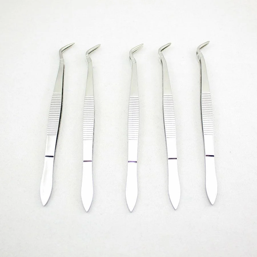 ۵ عدد موچین استیل ضد زنگ پزشکی دندانپزشکی تجهیزات آزمایشگاهی ۵ عدد موچین استیل ضد زنگ پزشکی دندانپزشکی تجهیزات آزمایشگاهی