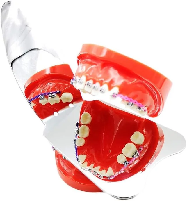 آینه داخل دهانی ارتودنسی دندان، ابزار آزمایشگاهی ارتودنسی، آینه های عکاسی دو طرفه، بازتابنده عکاسی، سطح ضد خش، روکش رودیوم آینه داخل دهانی ارتودنسی دندان، ابزار آزمایشگاهی ارتودنسی، آینه های عکاسی دو طرفه، بازتابنده عکاسی، سطح ضد خش، روکش رودیوم