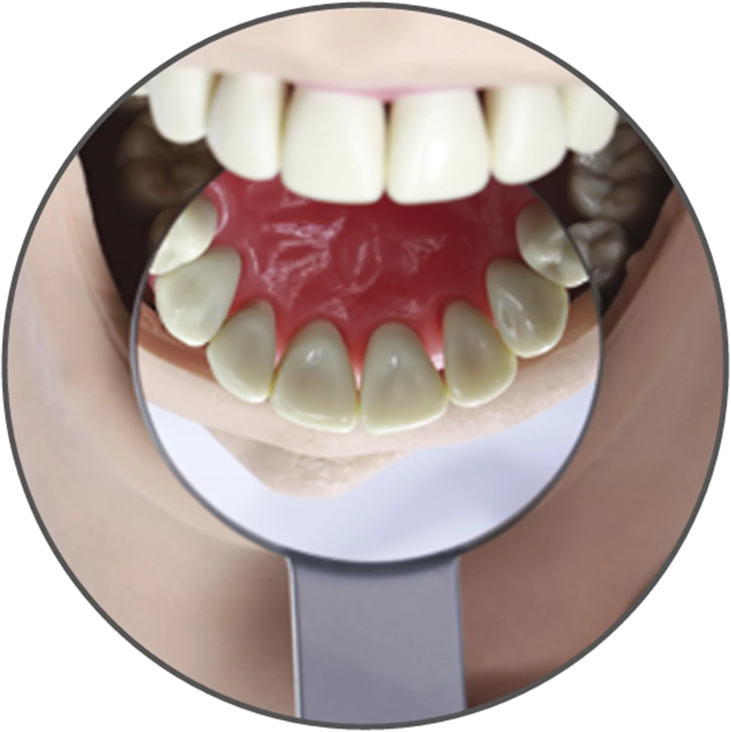 آینه دهانی گرد بزرگ سطح جلویی Osung، ابزار تشخیصی، DMEM - 43mm