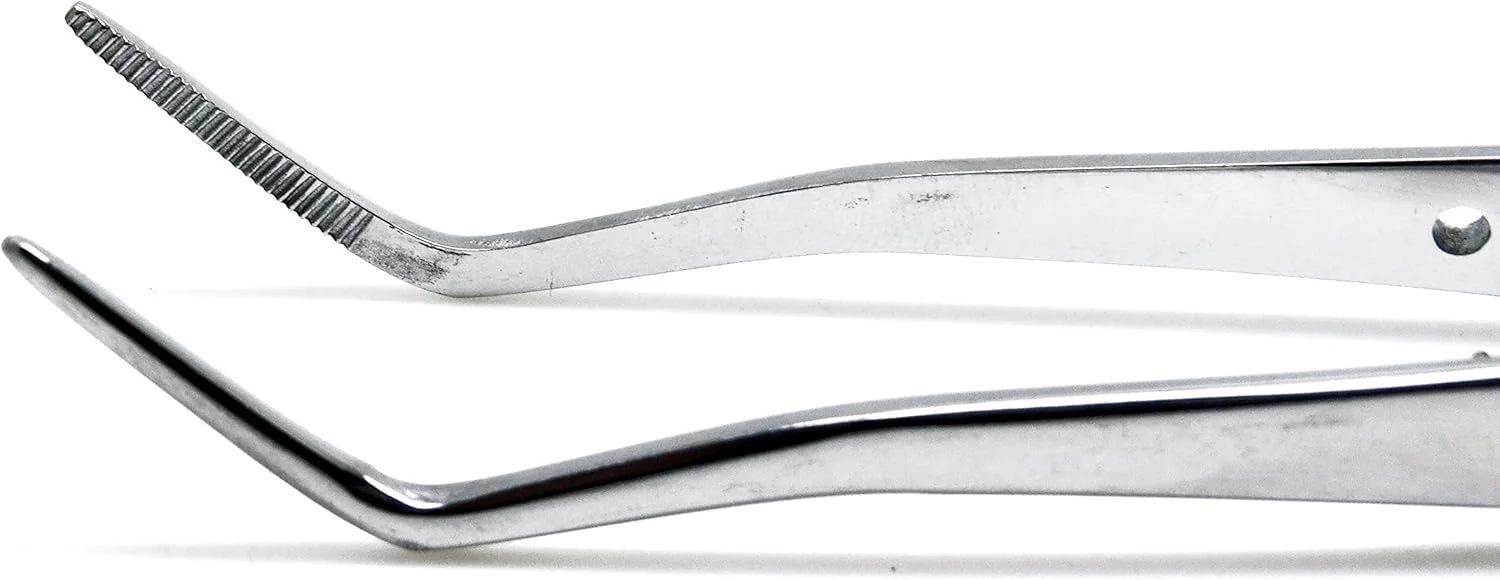 ابزار دندانپزشکی ممتاز مریم، انبر پنبه دندانپزشکی فویل دار، نوک زاویه دار دندانه دار، فورسپس جراحی تشخیصی