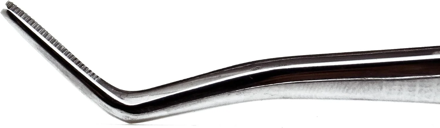 ابزار دندانپزشکی ممتاز مریم، انبر پنبه دندانپزشکی فویل دار، نوک زاویه دار دندانه دار، فورسپس جراحی تشخیصی