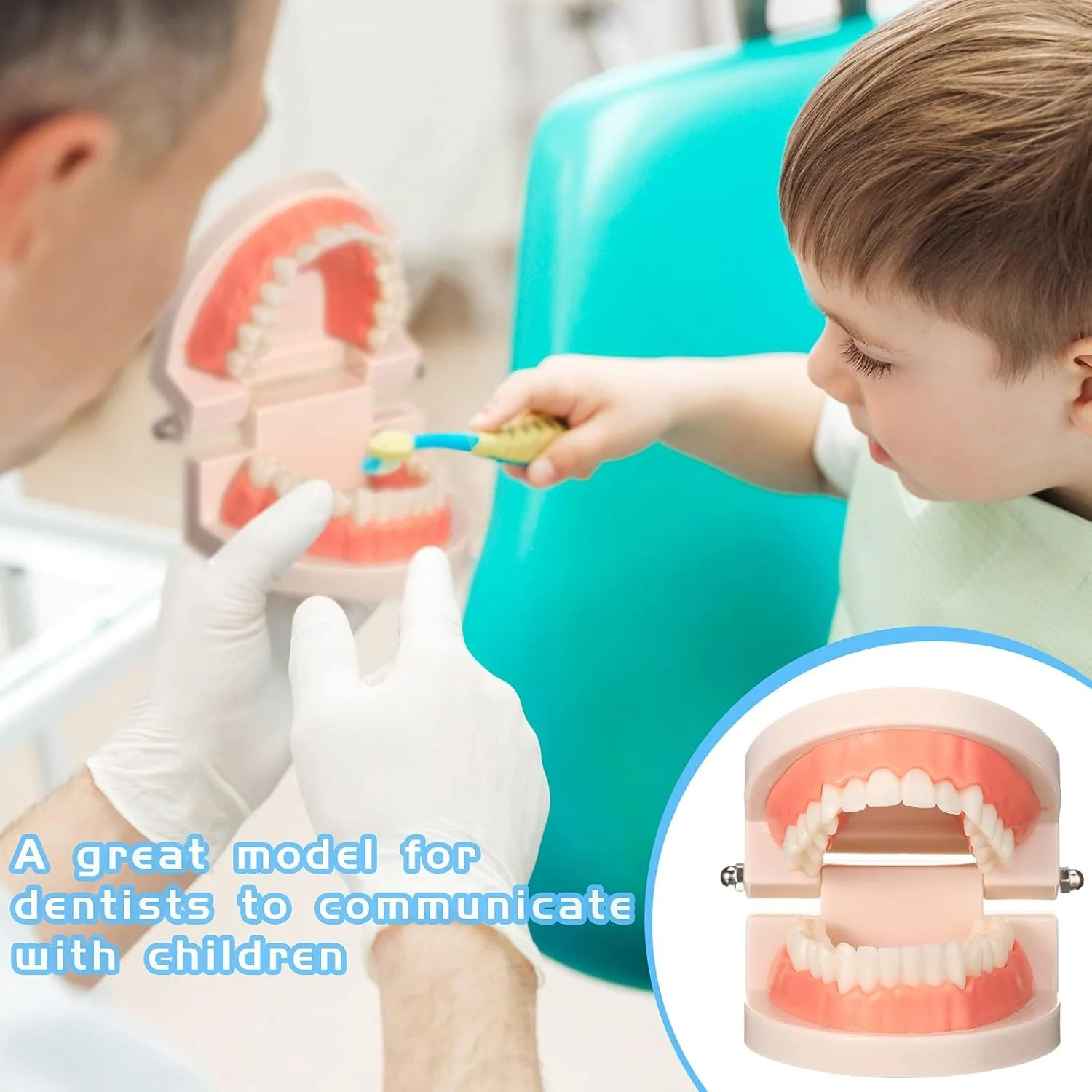 مدل آموزشی دندانپزشکی NALACAL، مدل دهان برای مطالعه دندان، اسباب بازی، نمایش دندان، دندان مصنوعی تقلبی، ابزار نمایش دندان مصنوعی برای کودکان، لوازم آموزشی دندانپزشکی، 2 عدد