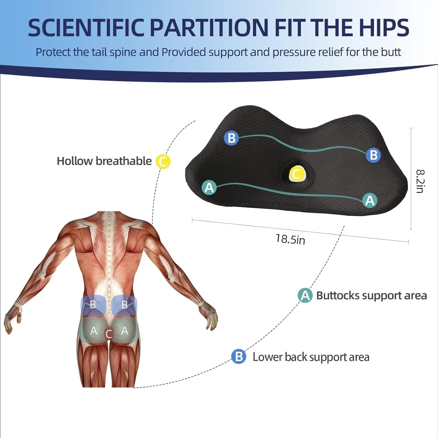 بالشتک پشتیبانی کمری برای خودرو، بالشتک فوم حافظهدار 2 در 1 برای پشتیبانی از کمر، پرکننده صندلی گود و بالشتک تسکین درد سیاتیک، بالشتک پشتیبانی کمر برای خودرو، صندلی اداری، ویلچر (47x18x21 سانتیمتر) بالشتک پشتیبانی کمری برای خودرو، بالشتک فوم حافظهدار 2 در 1 برای پشتیبانی از کمر، پرکننده صندلی گود و بالشتک تسکین درد سیاتیک، بالشتک پشتیبانی کمر برای خودرو، صندلی اداری، ویلچر (47x18x21 سانتیمتر)