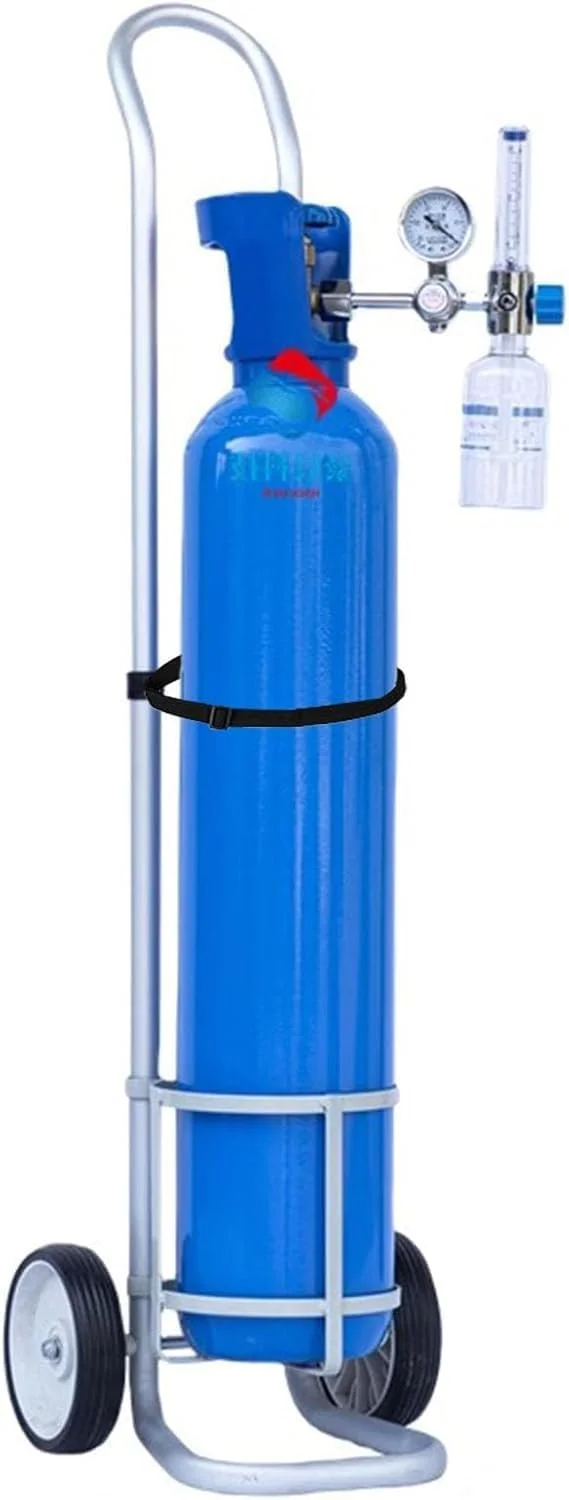 چرخ دستی حمل سیلندر اکسیژن، ترالی حمل کپسول گاز، پایه چرخ دار قابل حمل برای مخزن اکسیژن پزشکی با تسمه، دالی بادوام برای کپسول های اکسیژن () چرخ دستی حمل سیلندر اکسیژن، ترالی حمل کپسول گاز، پایه چرخ دار قابل حمل برای مخزن اکسیژن پزشکی با تسمه، دالی بادوام برای کپسول های اکسیژن ()
