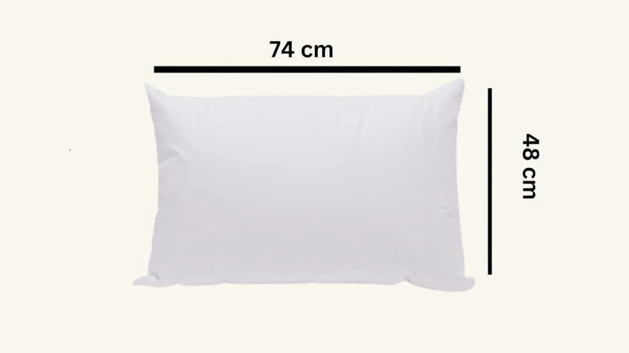 بالش پر غاز 1200 گرمی با الیاف بسیار نرم، ضد حساسیت و ضد کنه گرد و غبار، 85% پر، 15% کرک، سفید، پشتیبانی عالی، مناسب برای خوابیدن به پهلو و پشت، سایز 48 در 74 سانتی متر (بسته 2 عددی با روکش پنبه ای)