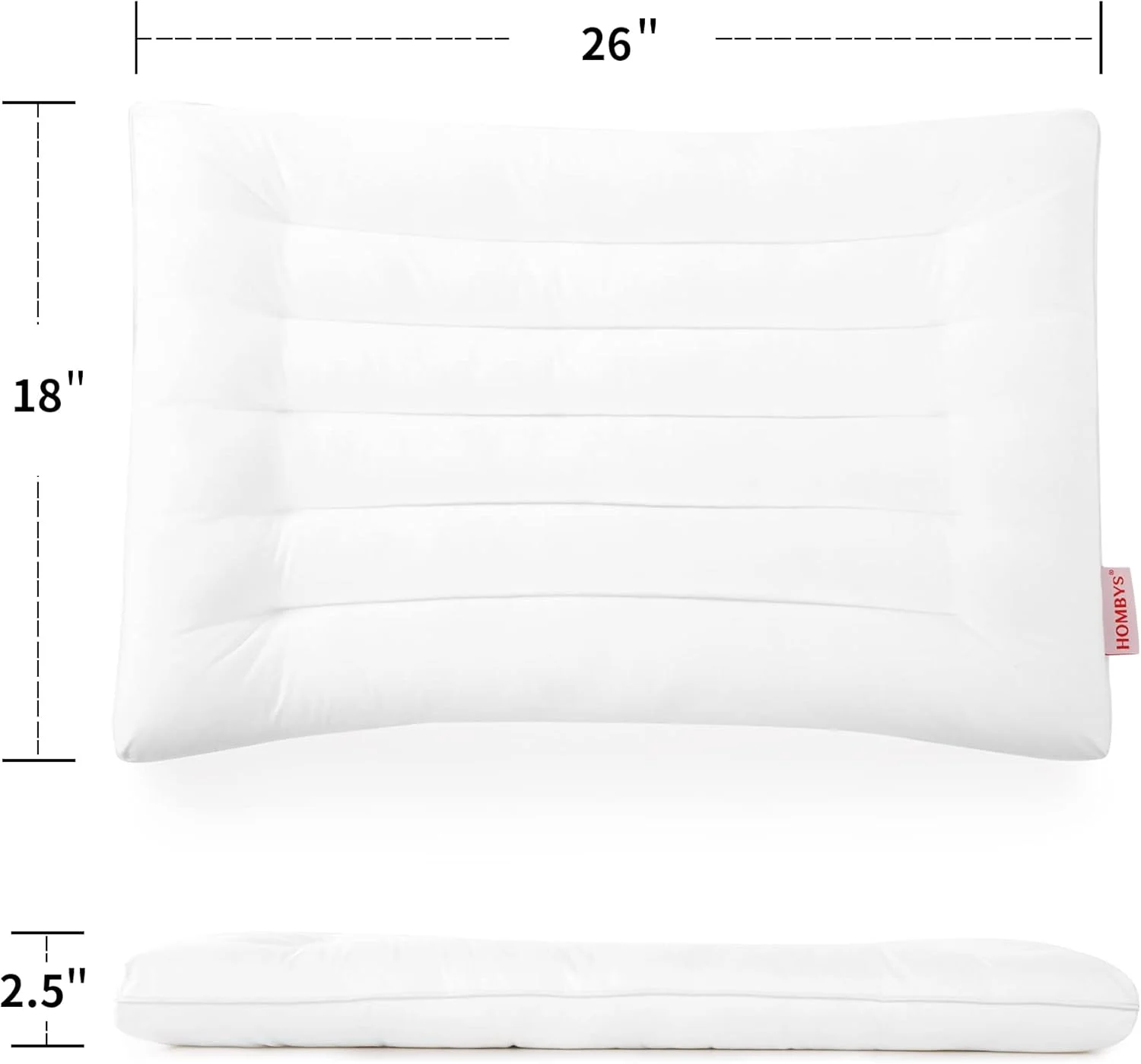 بالش خواب نازک HOMBYS برای خوابیدن، بالش تخت نازک 2.5 اینچی برای افرادی که به شکم و پشت می خوابند، بالش با ارتفاع بسیار کم، قابل شستشو در ماشین لباسشویی بالش خواب نازک HOMBYS برای خوابیدن، بالش تخت نازک 2.5 اینچی برای افرادی که به شکم و پشت می خوابند، بالش با ارتفاع بسیار کم، قابل شستشو در ماشین لباسشویی