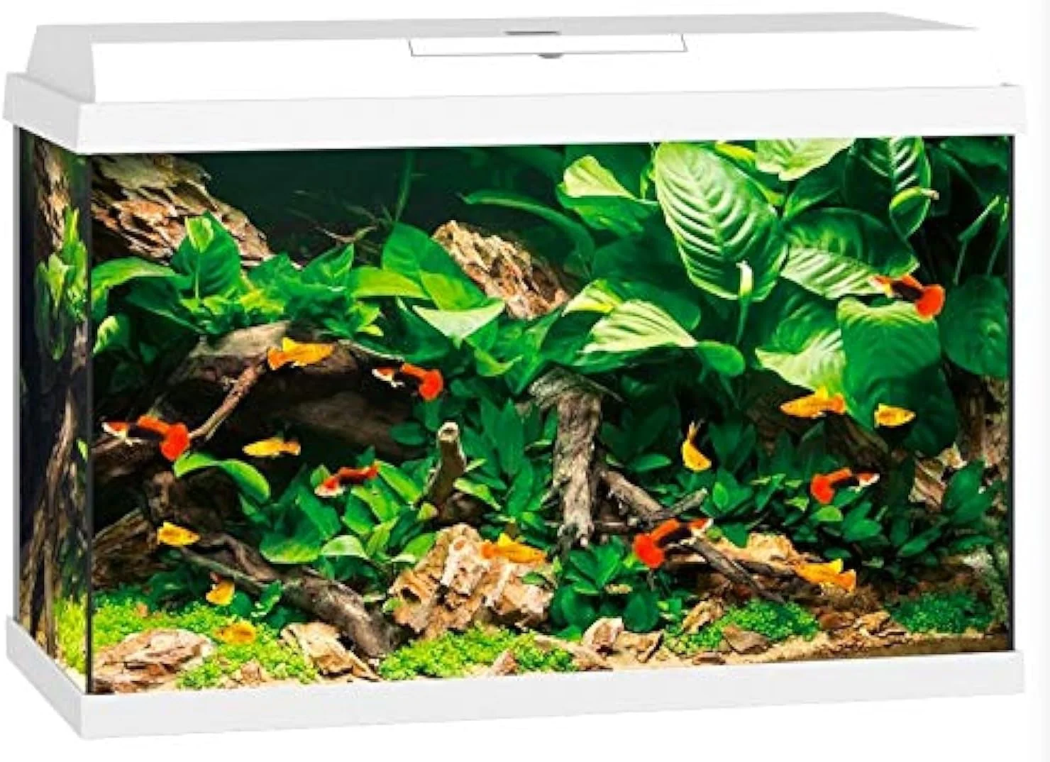 آکواریوم آب شیرین و آب شور Juwel Primo با نور ال ای دی، سفید - ۷۰ لیتر آکواریوم آب شیرین و آب شور Juwel Primo با نور ال ای دی، سفید - ۷۰ لیتر