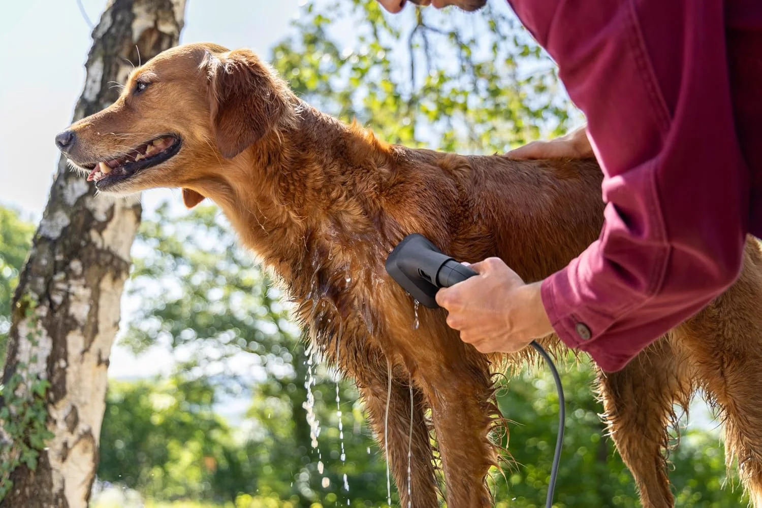 کارواش سیار تاشو کارچر OC 3، با باتری و مخزن آب تاشو 8 لیتری، دستگاه سبک و کم فشار برای دوچرخه، تجهیزات کمپینگ، حیوانات خانگی و چکمه های کوهنوردی کارواش سیار تاشو کارچر OC 3، با باتری و مخزن آب تاشو 8 لیتری، دستگاه سبک و کم فشار برای دوچرخه، تجهیزات کمپینگ، حیوانات خانگی و چکمه های کوهنوردی