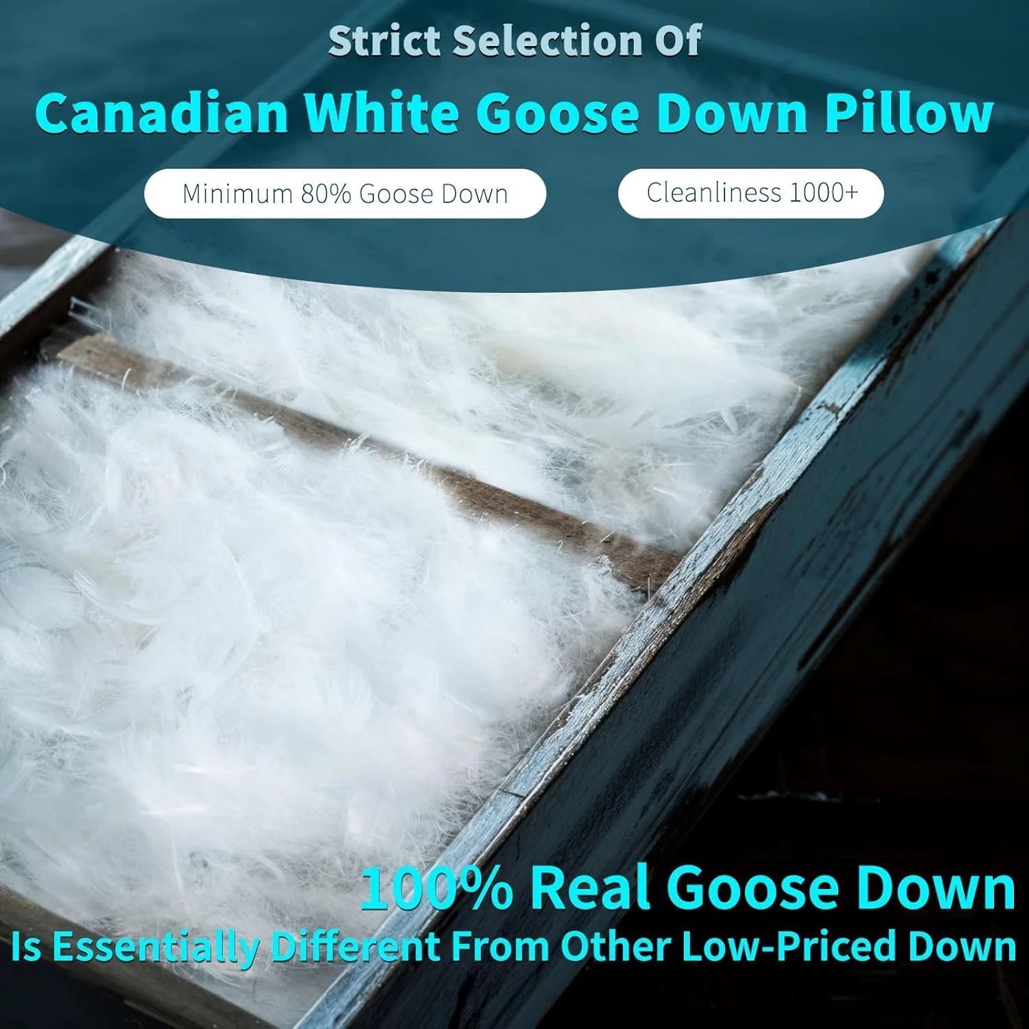 بالش پر غاز کانادایی Shilucheng سایز کوئین، مجموعه 2 عددی، قدرت پرکردن بالای 900، بالش مناسب خواب پهلو برای تسکین درد گردن، روکش 100% پنبه با تراکم بافت 600، بالش های با کیفیت هتلی (سفید، 50 در 76 سانتیمتر)