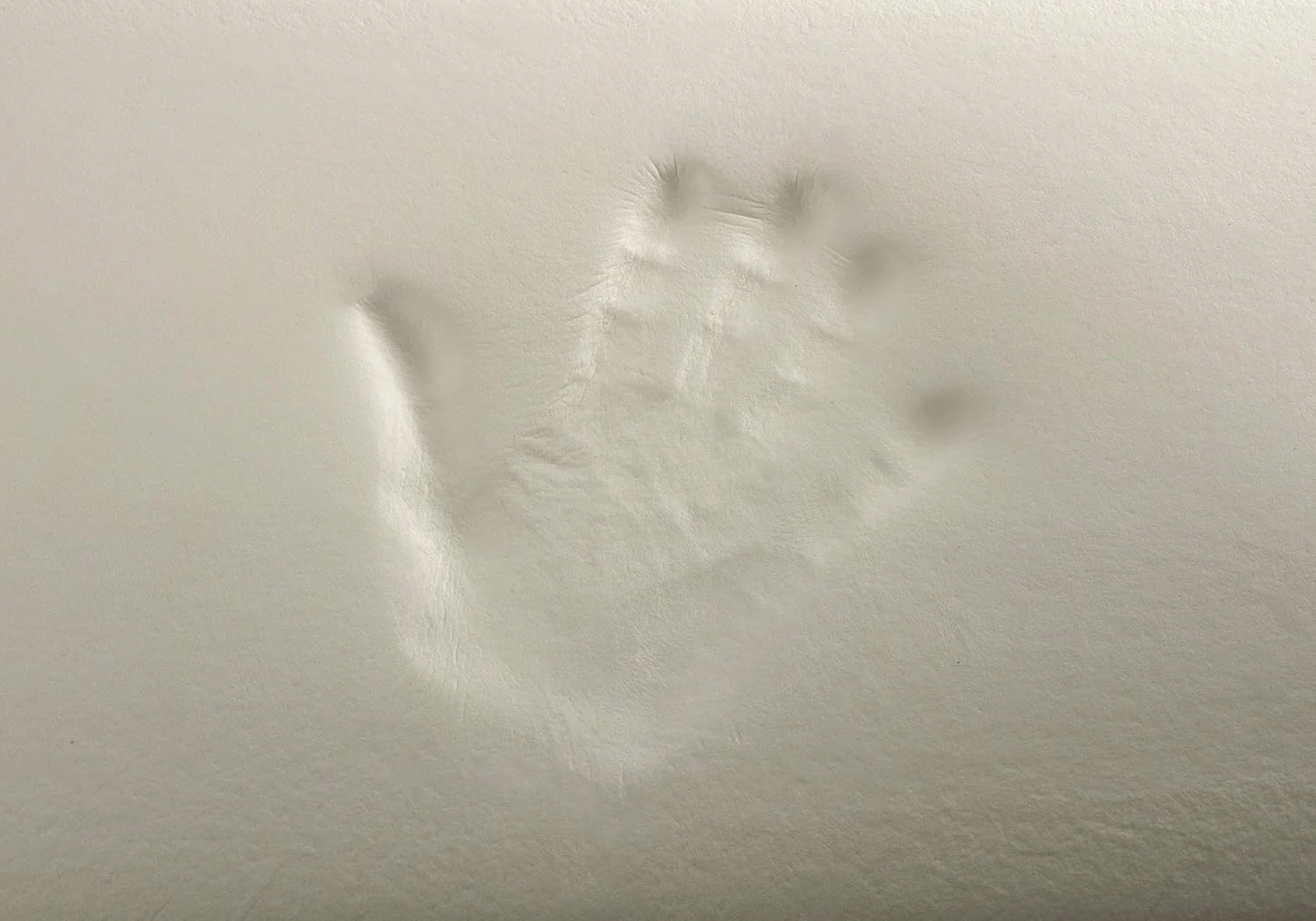 تودوکاما - بالش مموری فوم، هسته فشرده، روکش دوبل زیپدار، پارچه آلوئه ورا پلاس، تنظیم حرارت برای گردن. (بسته 2 عددی - 70 سانتی متر) تودوکاما - بالش مموری فوم، هسته فشرده، روکش دوبل زیپدار، پارچه آلوئه ورا پلاس، تنظیم حرارت برای گردن. (بسته 2 عددی - 70 سانتی متر)