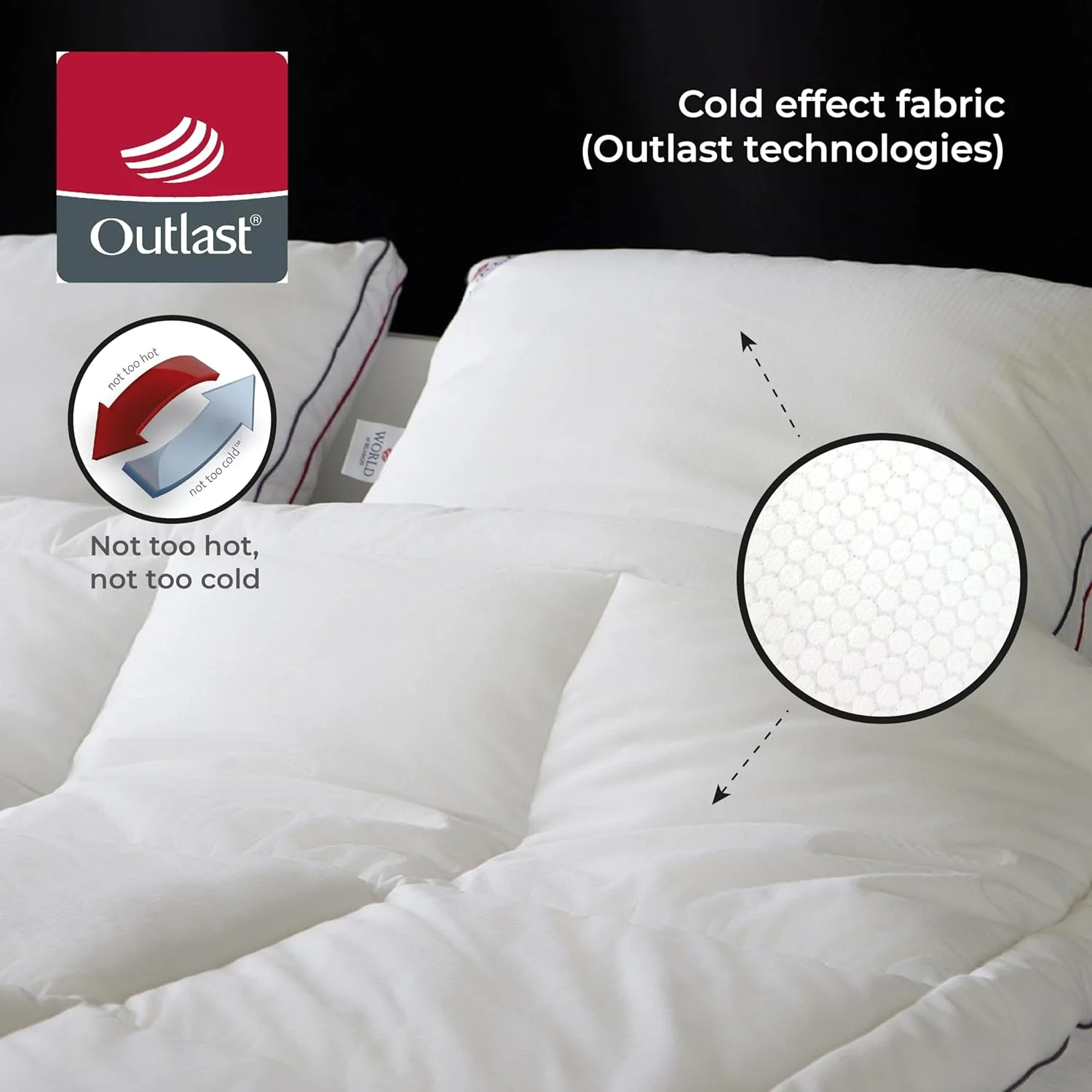 بالش ممتاز ClimateBalance Elite از WORLD OF BELASHOFF. بالش نرم سایز کوئین برای خواب با فناوری دو طرفه و پر شده با الیاف ضد حساسیت 1000 گرمی. بالش راحت برای خواب 50x75 سانتی متر.