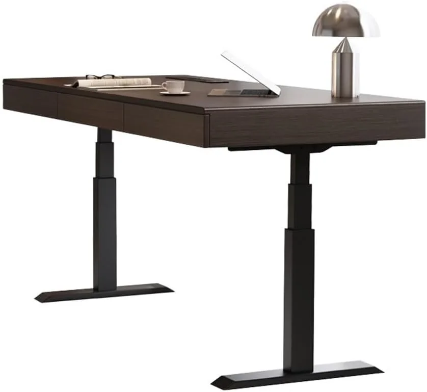 میز کامپیوتر برقی با قابلیت تنظیم ارتفاع، مناسب برای نشستن و ایستادن، ایستگاه کاری مدرن کامپیوتر با قابلیت بالابردن برای استفاده در دفتر کار خانگی (M)