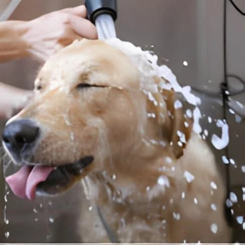 ست شاتاف دستی برای توالت | جت اسپری حمام استیل ضد زنگ گرید 304 ویژگی ها: سنگین و بادوام، 150 سانتی متر مشکی