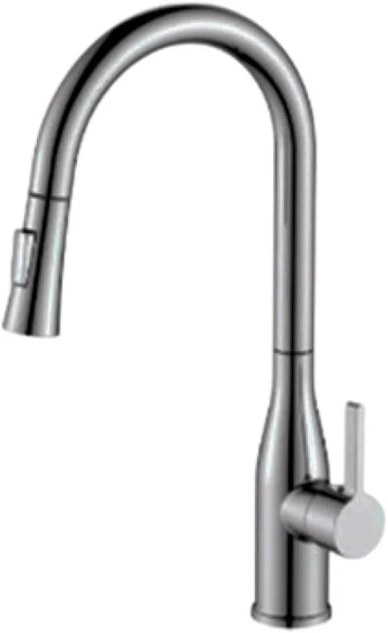 شیر آشپزخانه CM R1048، فنری با دو نوع پاشش، روکش کروم شیر آشپزخانه CM R1048، فنری با دو نوع پاشش، روکش کروم