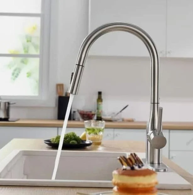 شیر آشپزخانه CM R1048، فنری با دو نوع پاشش، روکش کروم شیر آشپزخانه CM R1048، فنری با دو نوع پاشش، روکش کروم