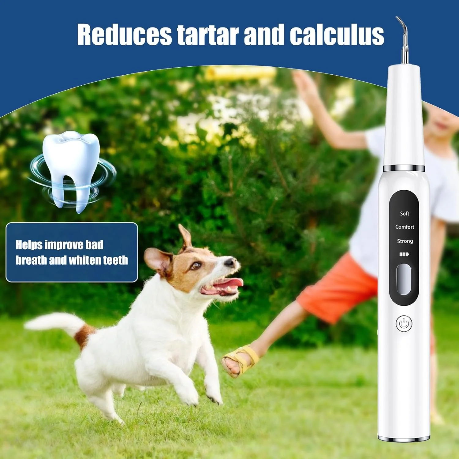 کیت تمیز کننده دندان حیوانات خانگی، ابزار تمیز کننده دندان الکتریکی اولتراسونیک با صفحه نمایش LED، 3 حالت، ابزارهای حرفه ای
