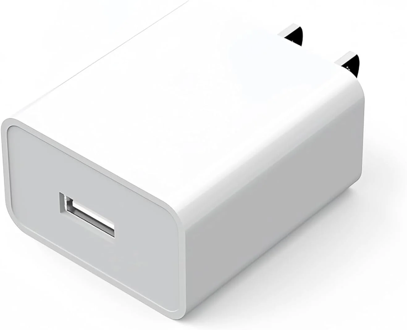 شارژر واتر فلاسر برای Waterpik WP-580 WP-582 ION، Nicwell، Oralfree، COSLUS، Bitvae، Philips واتر فلاسر بی سیم، آداپتور شارژر تمیز کننده دندان Onlyone (سفید)