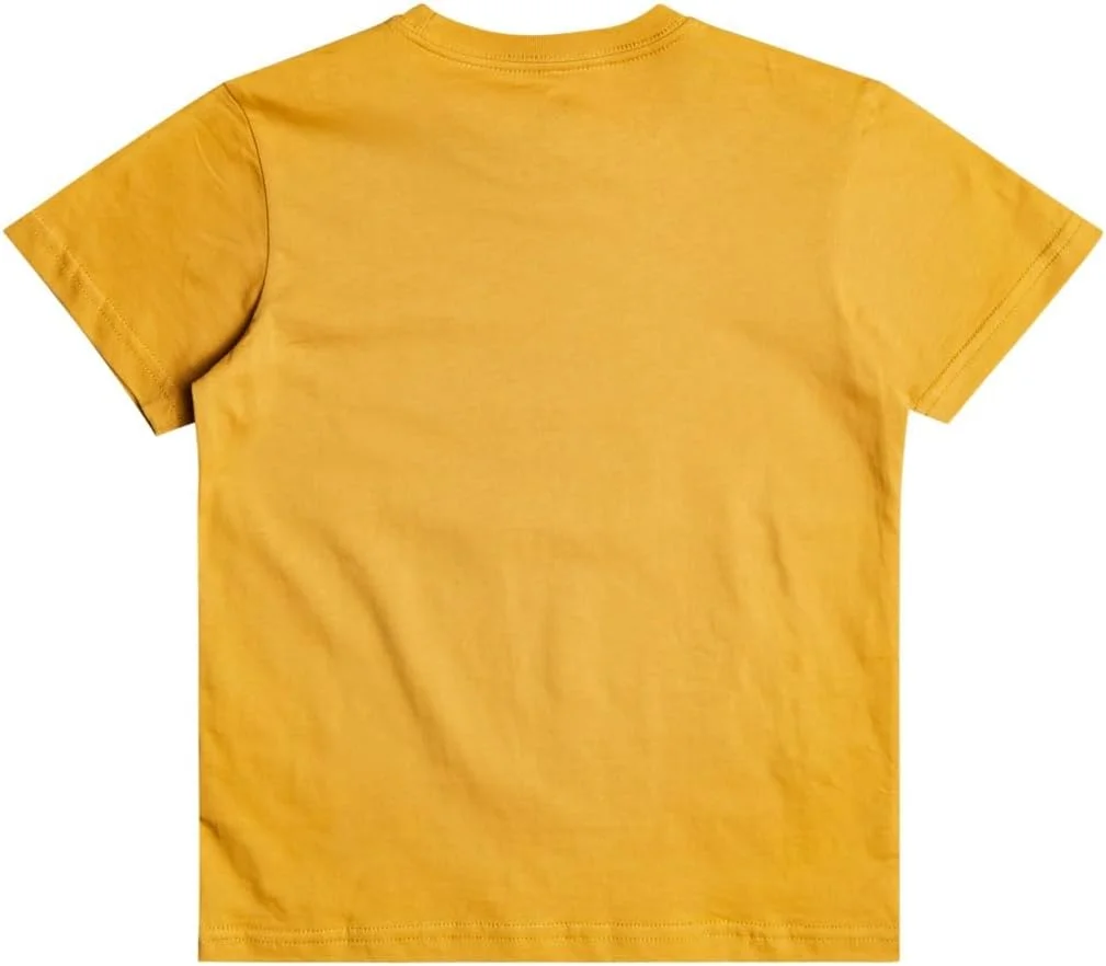 تی شرت پسرانه آستین کوتاه Quiksilver با حس و حال قدیمی (تک عددی)