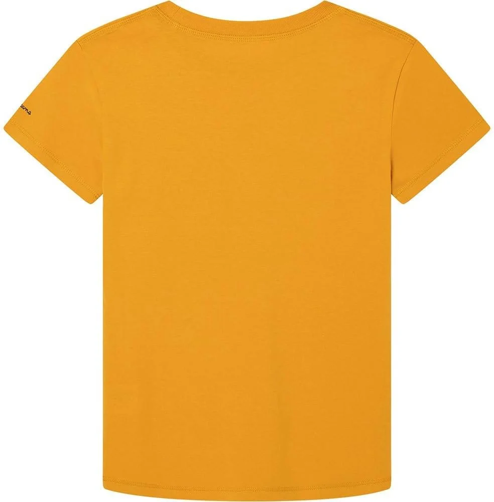 تی شرت پسرانه نیل Pepe Jeans