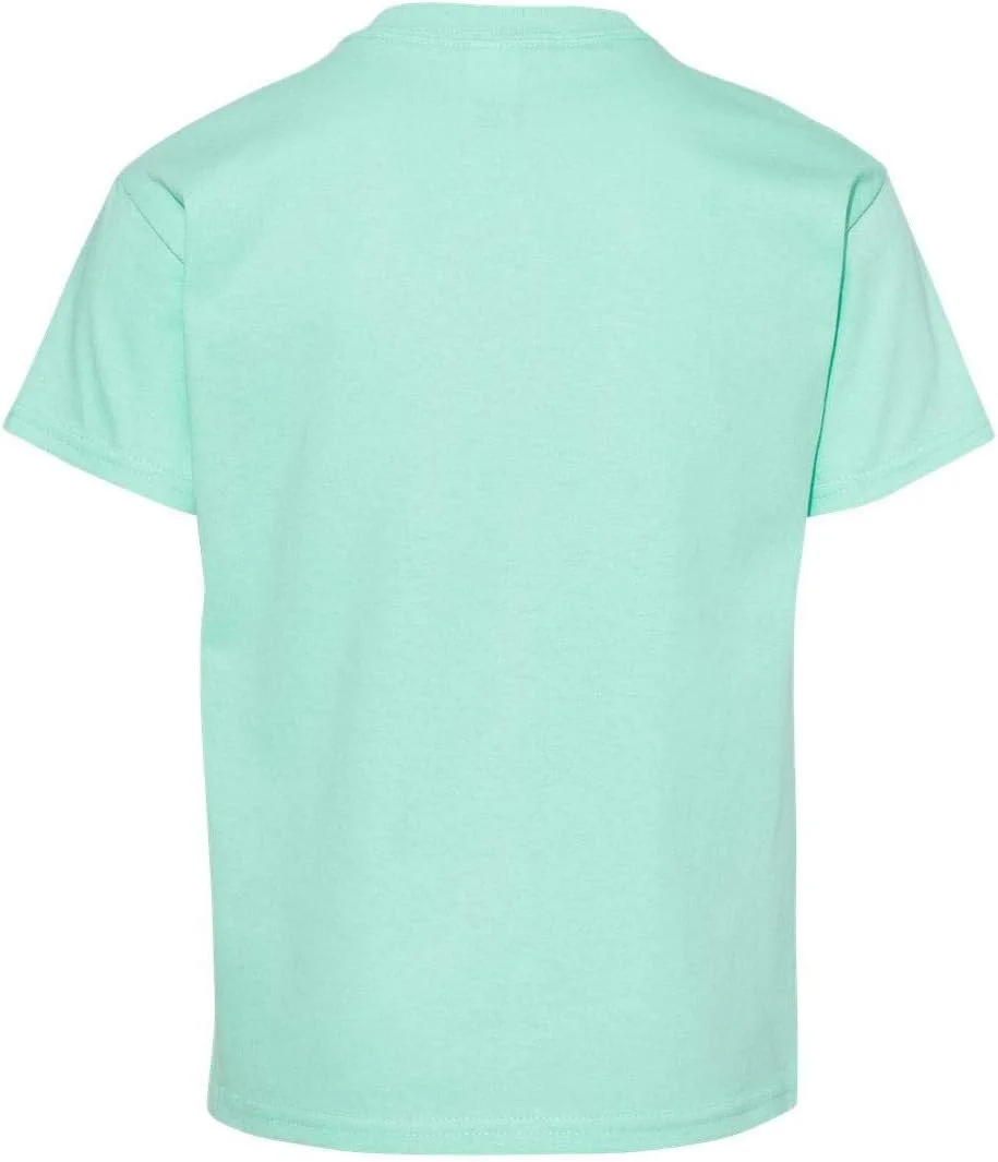 تی شرت آستین کوتاه پسرانه ComfortSoft Hanes، نعنایی روشن، سایز بزرگ