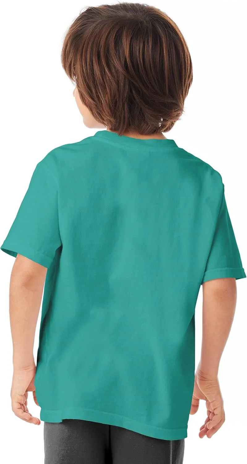 Hanes Unisex Child ComfortWash 5.5 oz. 100% Ring Spun Cotton Garment-Dyed T-Shirt Spanish Moss X-Small