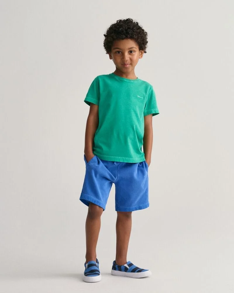 تی شرت پسرانه بچه گانه GANT با طرح آفتاب خورده