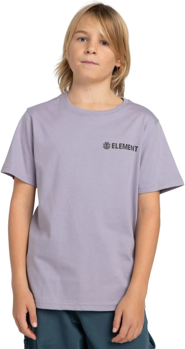 تی شرت آستین کوتاه پسرانه کویک سیلور مدل Blazin Chest Ss Youth (تک عددی)