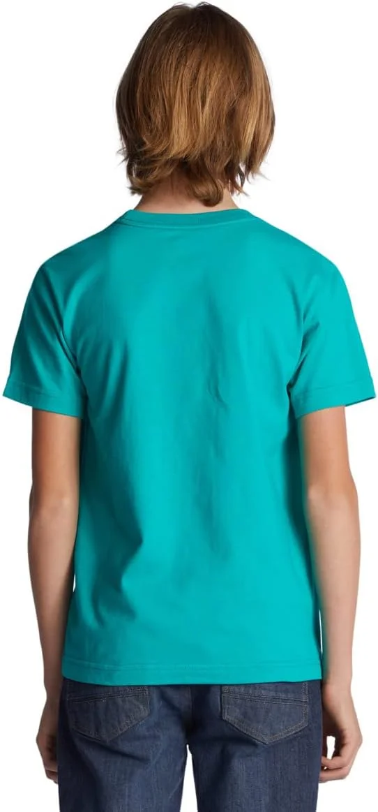 تی شرت آستین کوتاه پسرانه DC با طرح ستاره