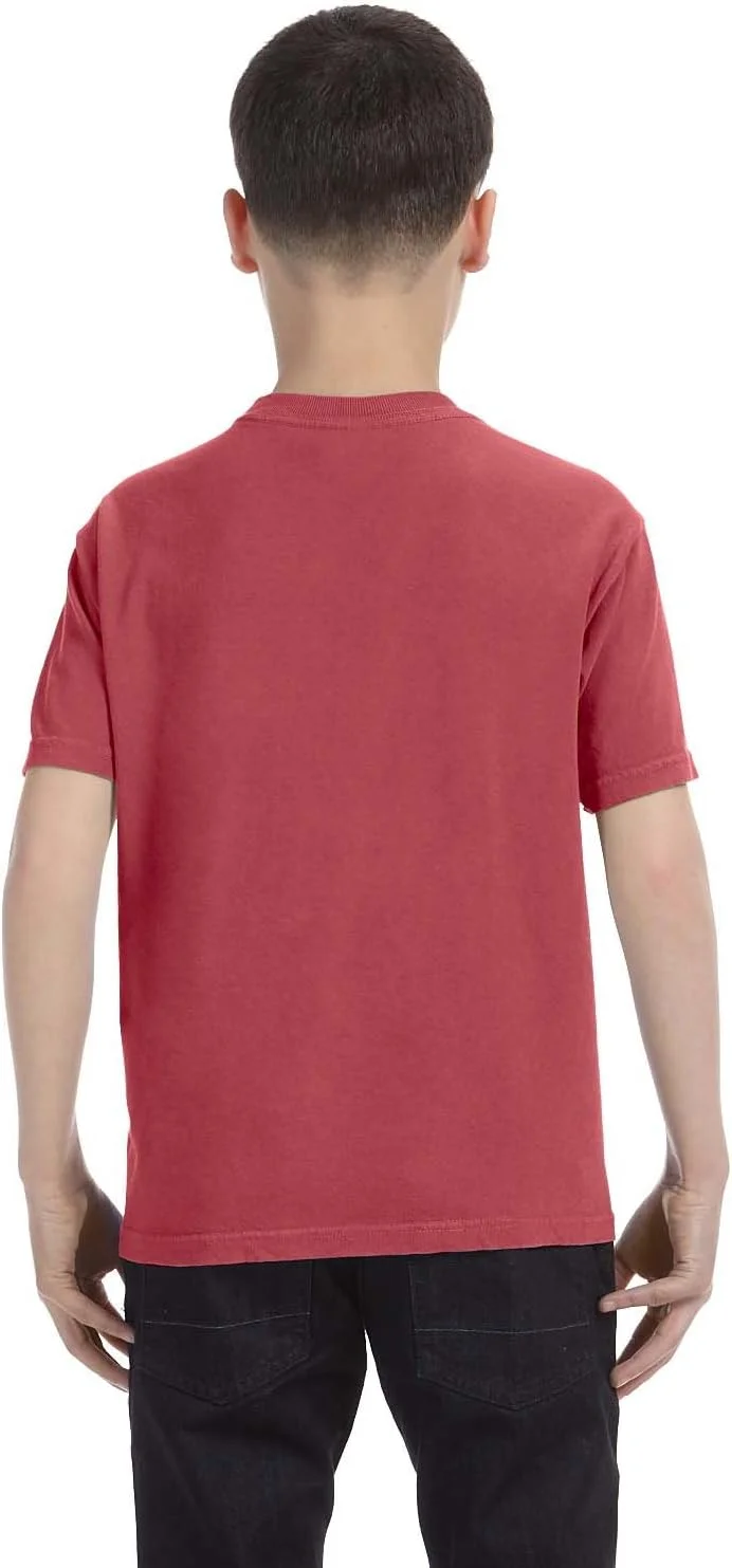 تی شرت آستین کوتاه پسرانه Comfort Colors، رنگ زرشکی، سایز XL تی شرت آستین کوتاه پسرانه Comfort Colors، رنگ زرشکی، سایز XL