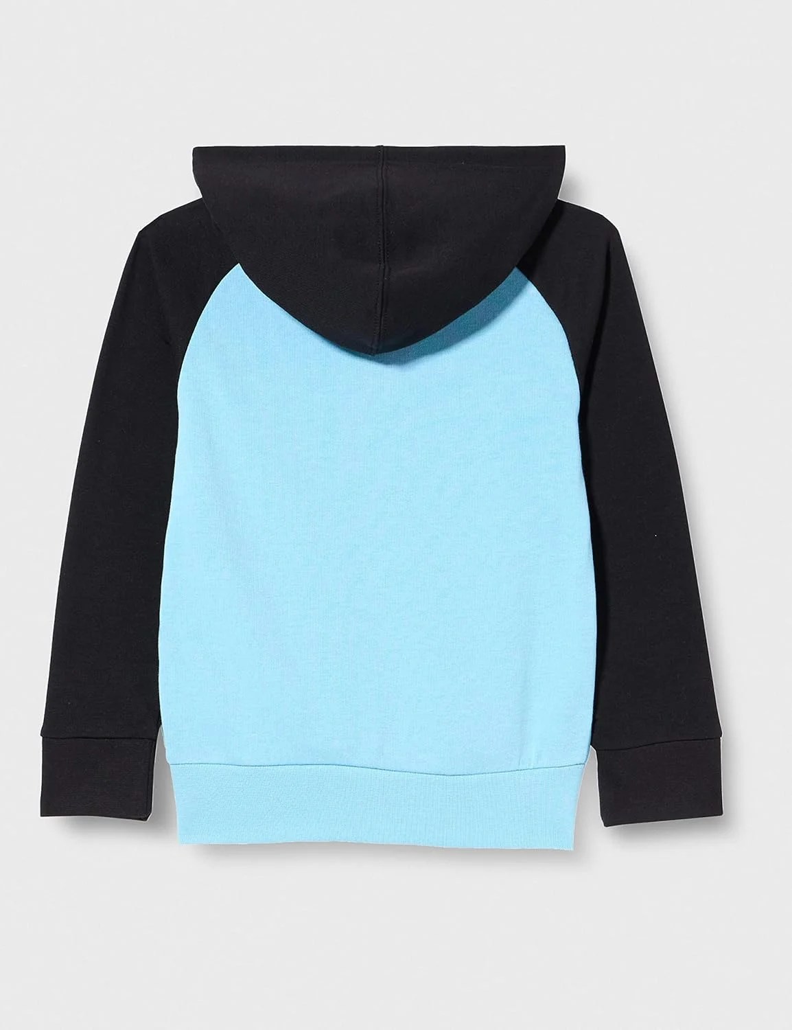 هودی پسرانه Champion مدل Legacy College Powerblend