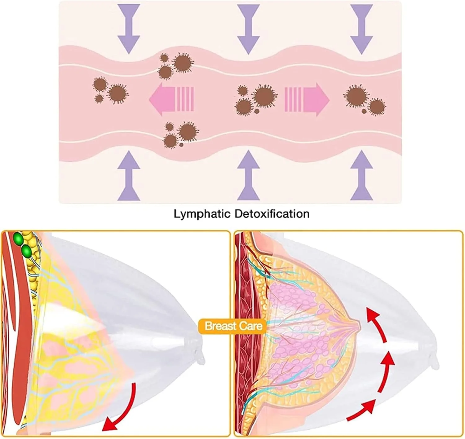 لوازم جانبی دستگاه کاپینگ وکیوم PIKIS، کاپ های مکش وکیوم XXL ممتاز برای دستگاه ماساژ فرم دهی بدن، 1 جفت کاپینگ - ست های درمانی لوازم جانبی دستگاه کاپینگ وکیوم PIKIS، کاپ های مکش وکیوم XXL ممتاز برای دستگاه ماساژ فرم دهی بدن، 1 جفت کاپینگ - ست های درمانی