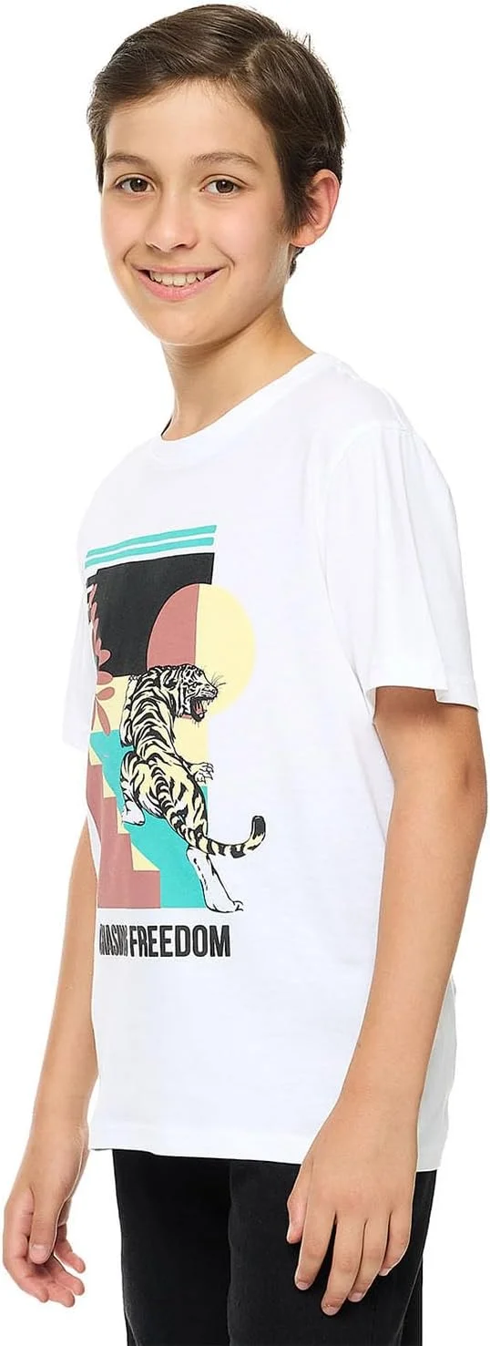 تی شرت طرح دار پسرانه R&B مدل 125-1163Tb240-1 با یقه گرد و آستین کوتاه تی شرت طرح دار پسرانه R&B مدل 125-1163Tb240-1 با یقه گرد و آستین کوتاه