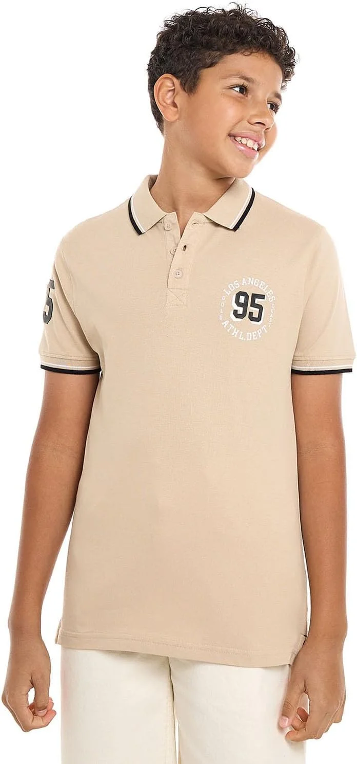 تی شرت پولو پسرانه R&B مدل 125-0145TB120-4 طرح دار آستین کوتاه