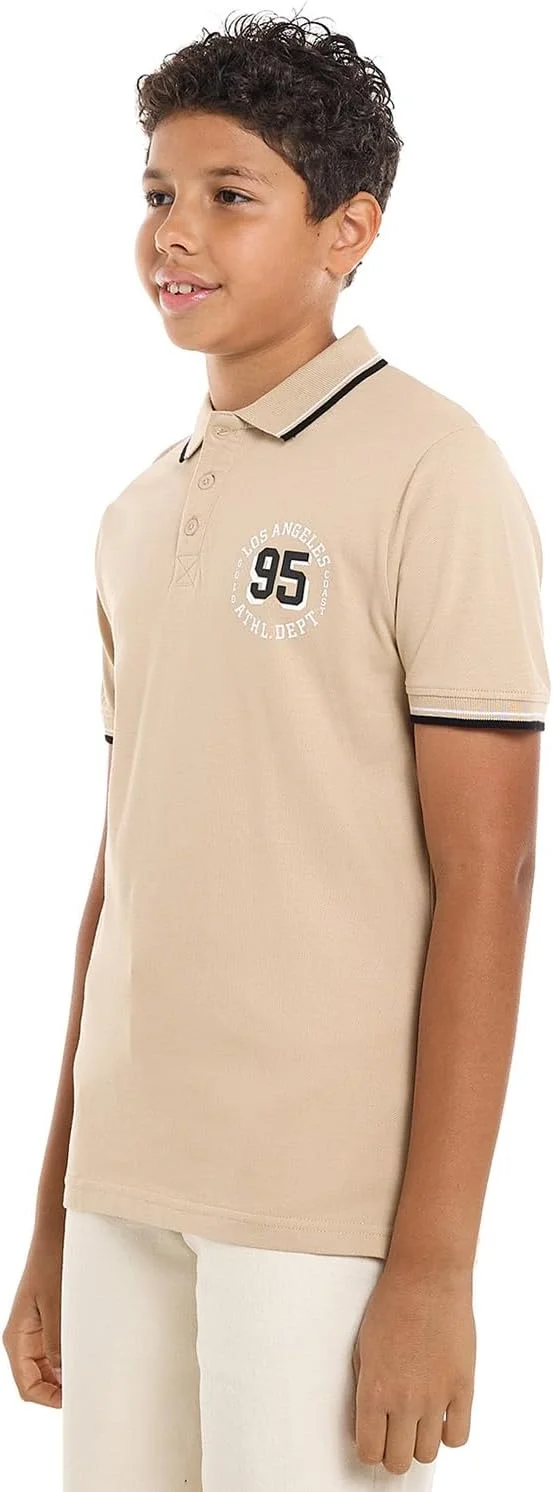 تی شرت پولو پسرانه R&B مدل 125-0145TB120-4 طرح دار آستین کوتاه