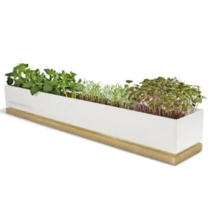 پودر سیمان پورتلند سفید ممتاز حسن - 5 کیلوگرم برای مصارف ساختمانی خانگی سیمان سفید پودر سیمان پورتلند سفید ممتاز حسن - 5 کیلوگرم برای مصارف ساختمانی خانگی سیمان سفید