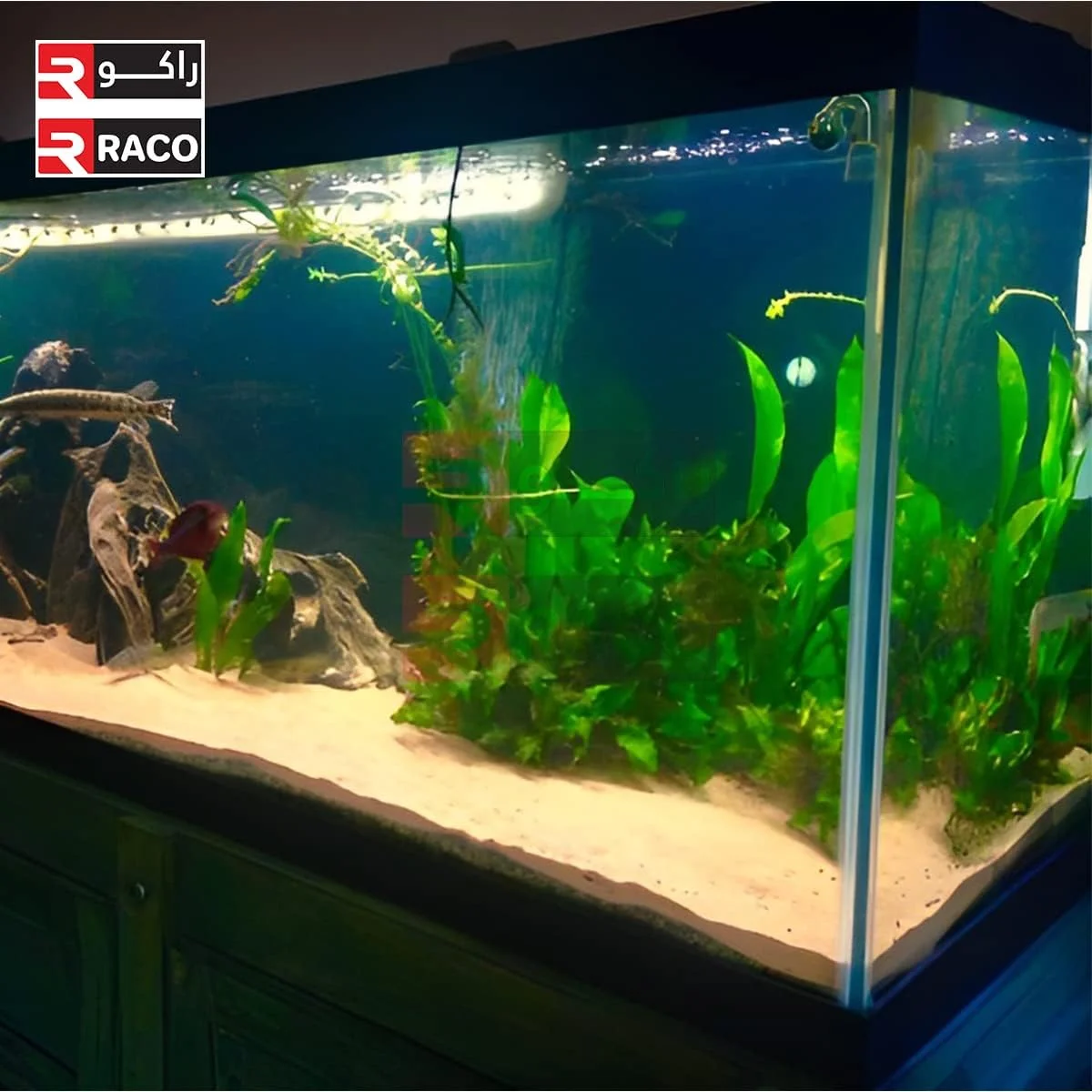 شن و ماسه چند منظوره طبیعی RACO برای ساخت و ساز، کفپوش، گیاهان آکواریومی و کارهای DIY (۵ کیلوگرم، قرمز) شن و ماسه چند منظوره طبیعی RACO برای ساخت و ساز، کفپوش، گیاهان آکواریومی و کارهای DIY (۵ کیلوگرم، قرمز)