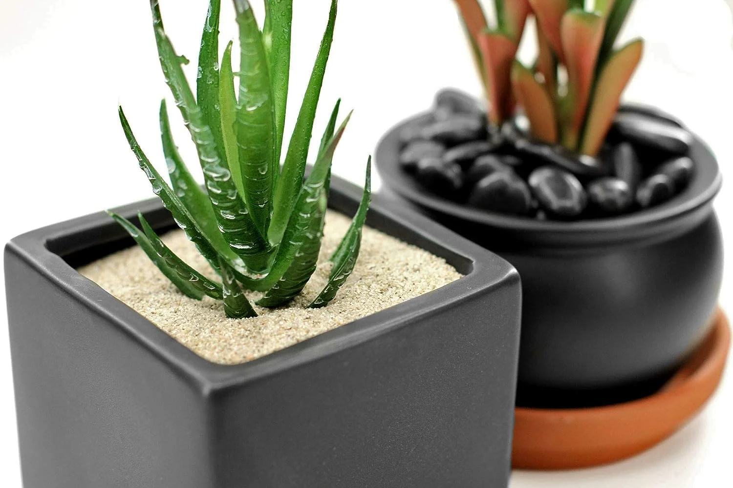 شن و ماسه طبیعی چند منظوره RACO برای ساخت و ساز، کفپوش، گیاهان آکواریومی و DIY (10 کیلوگرم، سفید) شن و ماسه طبیعی چند منظوره RACO برای ساخت و ساز، کفپوش، گیاهان آکواریومی و DIY (10 کیلوگرم، سفید)