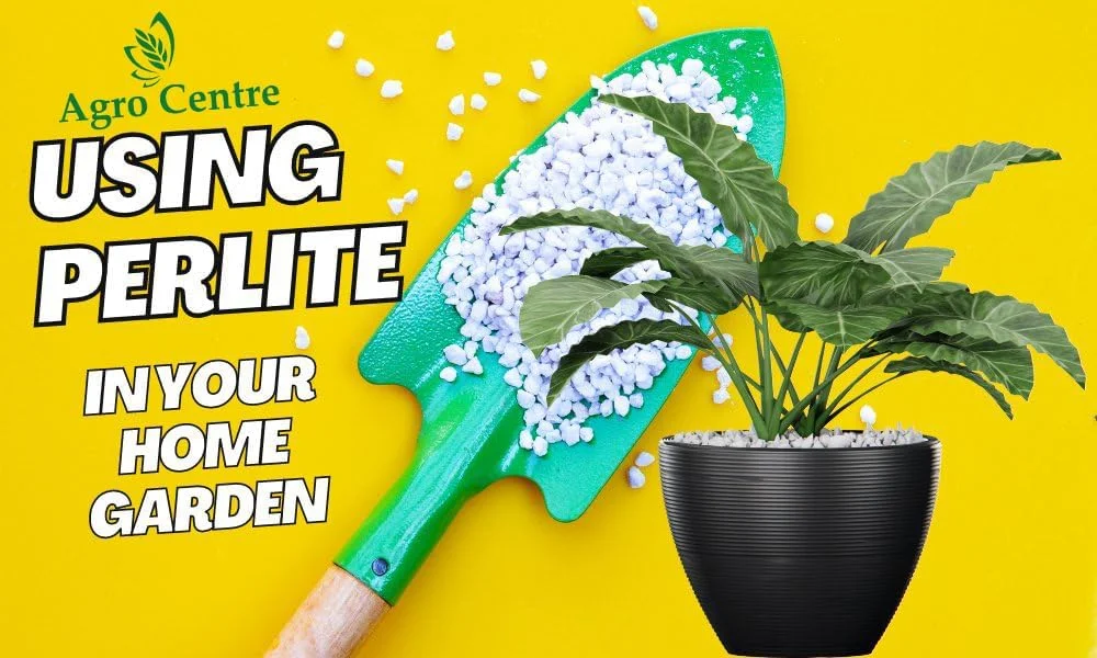 پرلیت کشاورزی دانه ای بسیار متخلخل برای گیاهان گلدانی و باغی | افزودنی خاک سبک و خنثی از نظر pH پرلیت کشاورزی دانه ای بسیار متخلخل برای گیاهان گلدانی و باغی | افزودنی خاک سبک و خنثی از نظر pH