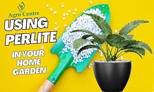 کیسه پرلیت ممتاز 20 لیتری: ایده آل برای کشاورزی مستقل، مخلوط خاک یا هیدروپونیک. سایز کشاورزی 5-10 میلی متر. بهترین محیط کشت برای کشاورزی داخلی و خارجی. ساخت امارات متحده عربی توسط مرکز کشاورزی کیسه پرلیت ممتاز 20 لیتری: ایده آل برای کشاورزی مستقل، مخلوط خاک یا هیدروپونیک. سایز کشاورزی 5-10 میلی متر. بهترین محیط کشت برای کشاورزی داخلی و خارجی. ساخت امارات متحده عربی توسط مرکز کشاورزی