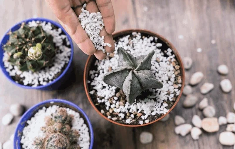 بستر کشت پرلیت برای گیاهان داخلی و خارجی (30 لیتر)