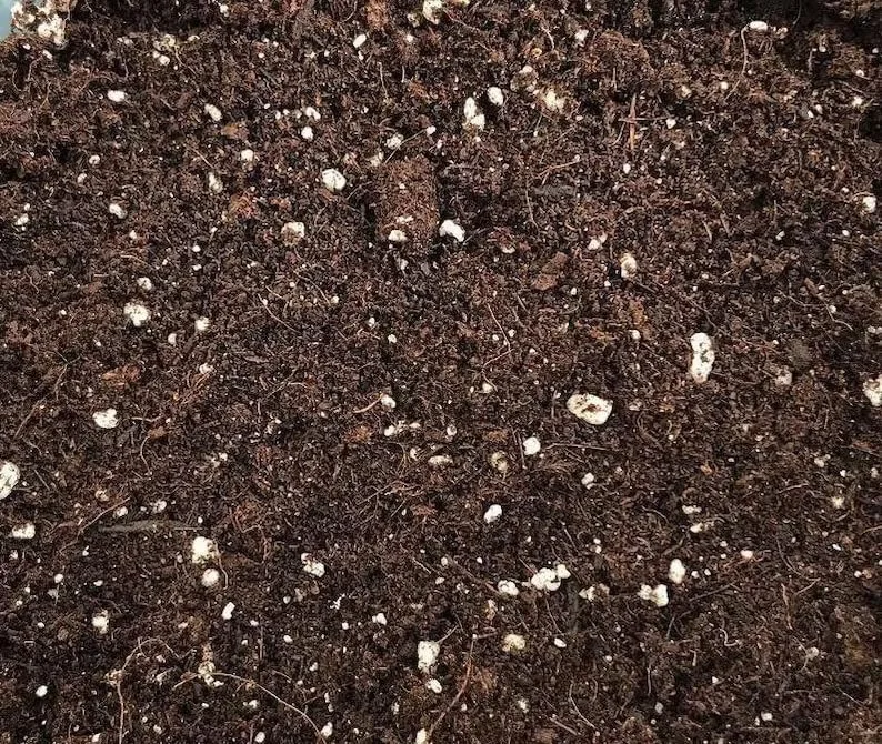 آگرو سنتر | مواد اولیه مخلوط گلدانی درجه یک | کوکوپیت یک کیلوگرمی + پرلیت 10 لیتری / ساخت امارات متحده عربی / بهترین انتخاب باغبانان / صرفه جویی در آب آگرو سنتر | مواد اولیه مخلوط گلدانی درجه یک | کوکوپیت یک کیلوگرمی + پرلیت 10 لیتری / ساخت امارات متحده عربی / بهترین انتخاب باغبانان / صرفه جویی در آب