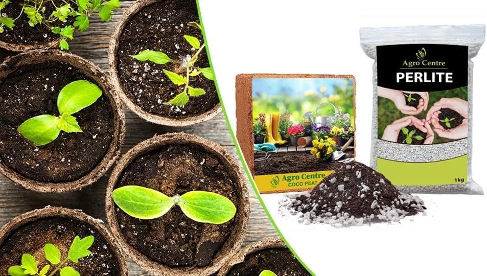 آگرو سنتر | مواد اولیه مخلوط گلدانی درجه یک | کوکوپیت یک کیلوگرمی + پرلیت 10 لیتری / ساخت امارات متحده عربی / بهترین انتخاب باغبانان / صرفه جویی در آب آگرو سنتر | مواد اولیه مخلوط گلدانی درجه یک | کوکوپیت یک کیلوگرمی + پرلیت 10 لیتری / ساخت امارات متحده عربی / بهترین انتخاب باغبانان / صرفه جویی در آب