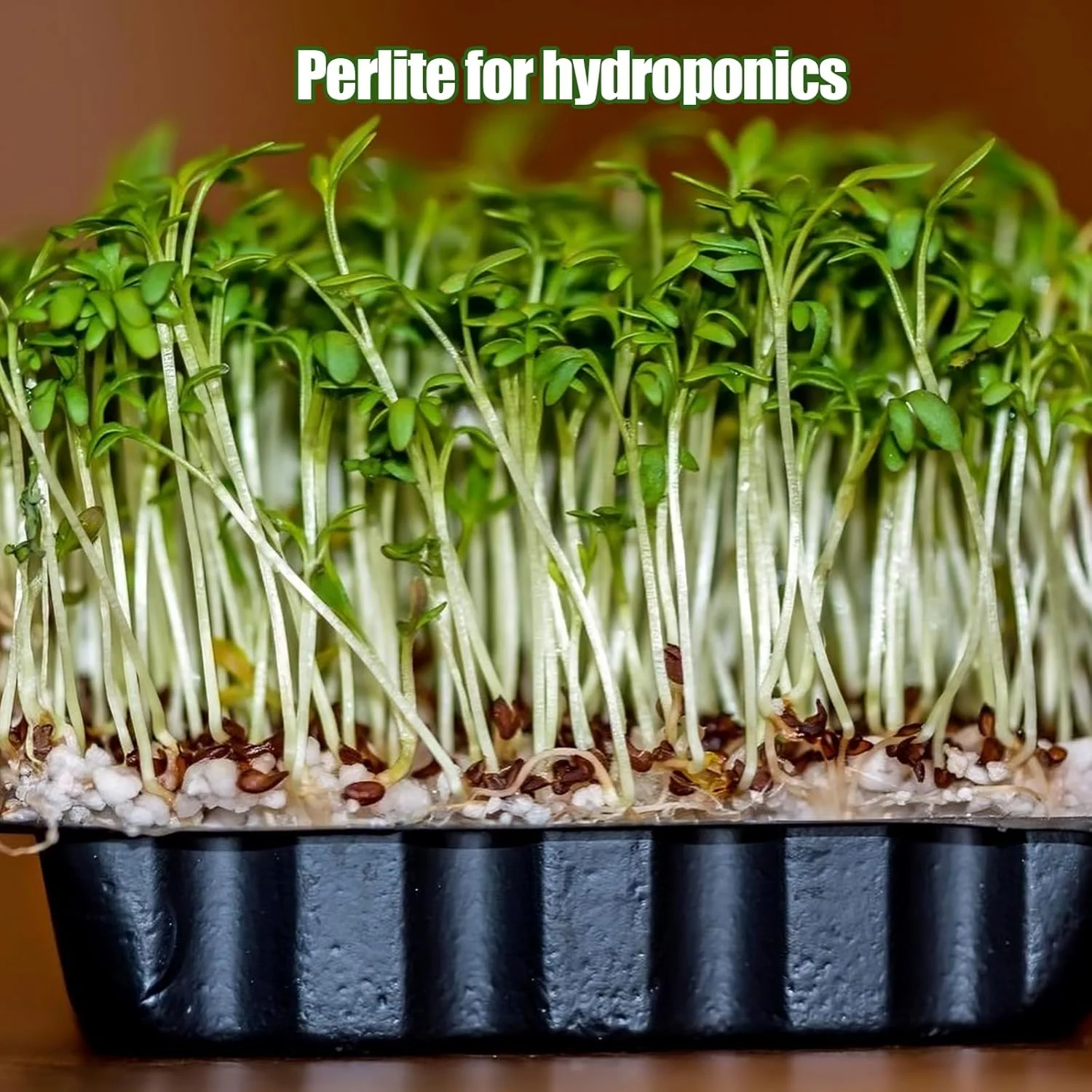 پرلیت باغبانی برای گیاهان ۱ کوارت، افزودنی و مخلوط کننده خاک باغبانی کاملا طبیعی، بهبود تهویه و زهکشی، افزایش سلامت خاک و رشد ریشه