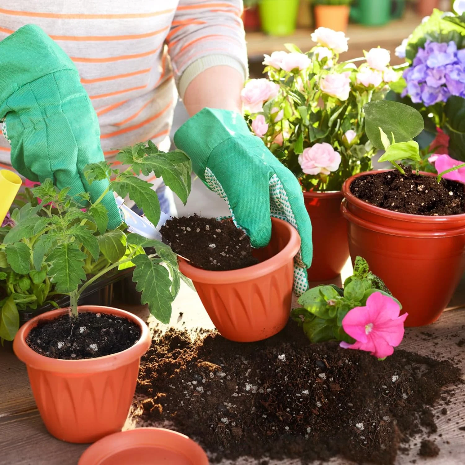 پرلیت باغبانی برای گیاهان ۱ کوارت، افزودنی و مخلوط کننده خاک باغبانی کاملا طبیعی، بهبود تهویه و زهکشی، افزایش سلامت خاک و رشد ریشه