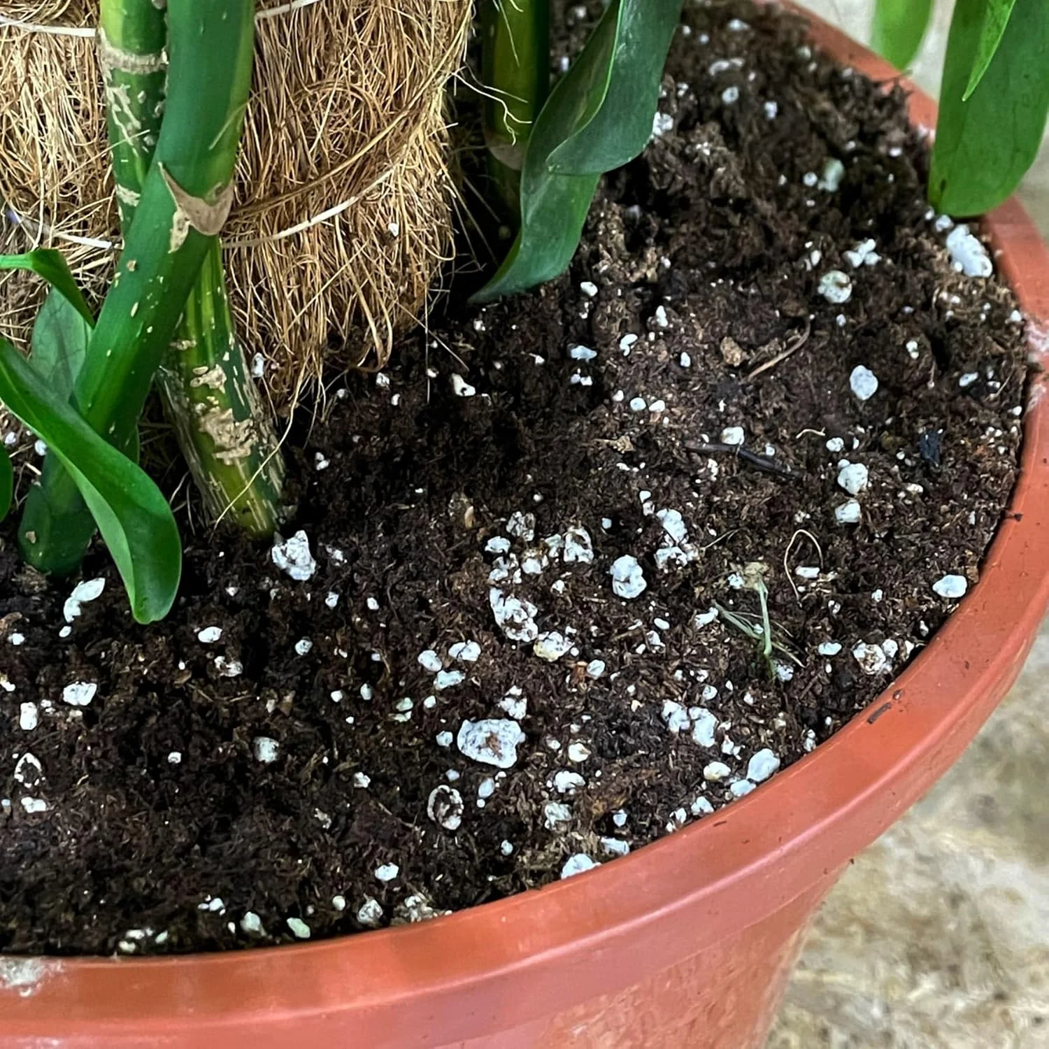 پرلیت طبیعی (10 لیتر) برای گیاهان آپارتمانی و گیاهان فضای باز پرلیت طبیعی (10 لیتر) برای گیاهان آپارتمانی و گیاهان فضای باز