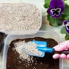 پرلیت کشاورزی دانه ای متخلخل شالیمار برای گیاهان باغی و گلدانی | افزودنی خاک سبک و خنثی از نظر pH مناسب برای مرکز کشاورزی. 10 لیتر - صرفه جویی در آب پرلیت کشاورزی دانه ای متخلخل شالیمار برای گیاهان باغی و گلدانی | افزودنی خاک سبک و خنثی از نظر pH مناسب برای مرکز کشاورزی. 10 لیتر - صرفه جویی در آب